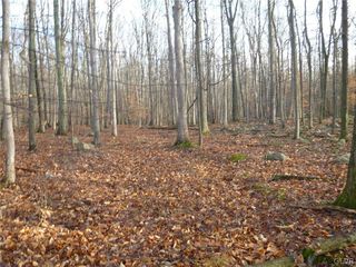 187 Turkey Ridge Rd, Mount Bethel, PA 18343