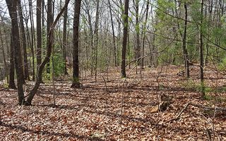 Lot 104 Forest Hill Dr, Blue Ridge, GA 30513