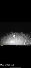 12 Highway, Tchula, MS 39169