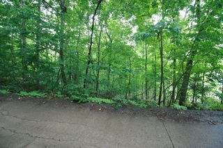 6625 Cape Haven Dr, Harrison, TN 37341