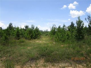 Cold Branch Rd, Colfax, LA 71417