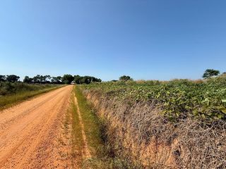 Hollis Dairy Rd #1, Newton, AL 36352
