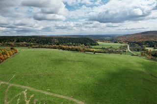 Lot 31.2 S  Lebanon Rd #31, Earlville, NY 13332