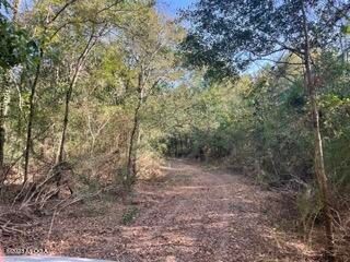 7582 Lower Thomaston Rd, Macon, GA 31220