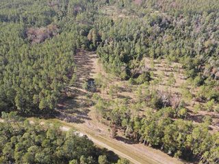 SW Pacific Dr, Greenville, FL 32331