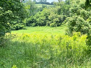 Martin Rd, Limestone, TN 37681
