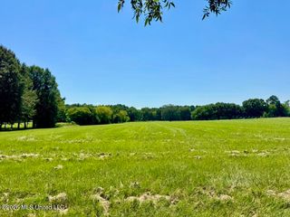 1 Green Acres Dr, Canton, MS 39046
