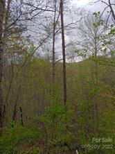 3 Folklore Dr, Whittier, NC 28789