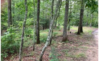 Mouse Creek Trl, Murphy, NC 28906