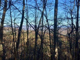 Address Not Disclosed, Warne, NC 28909