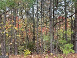 125 Spring Lake Trl, White, GA 30184