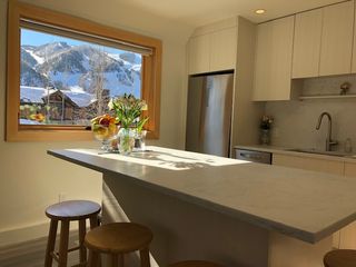 1136 Vine St, Aspen, CO 81611