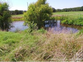 7082 Nighthawk Rd, Neosho, MO 64850