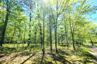 Lots 30 33 Madison Ave, Grayling, MI 49738