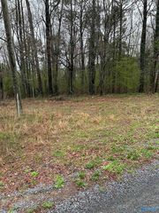 11 Dry Creek Rd, Cleveland, AL 35049