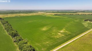 Land Auction Section 4 133 #61, Lamoure, ND 58458
