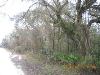  NE 262nd Ave, Old Town, FL 32680