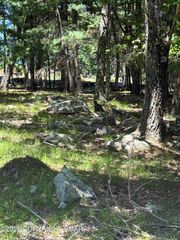 Song Mountain Dr, Tafton, PA 18464