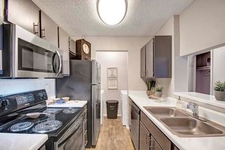 4035 Towne Crossing Blvd #501, Mesquite, TX 75150