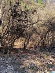 Crestwood Ln #116, Talladega, AL 35160