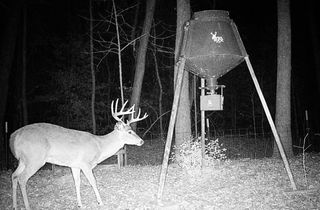 Salt Lick Rd, Lockesburg, AR 71846