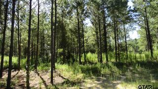 County Road 3146, Mount Enterprise, TX 75681