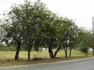 00 ADAMS LOT 13,14, Pleasanton, TX 78064
