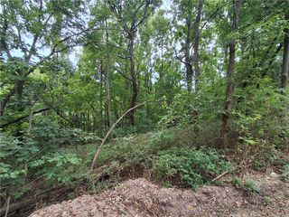 County Road 517 #2, Berryville, AR 72616