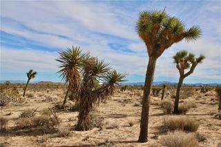 El Rancho Rd #36, Landers, CA 92285
