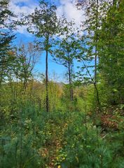 0 Bagley Hill Road #66, Warner, NH 03278