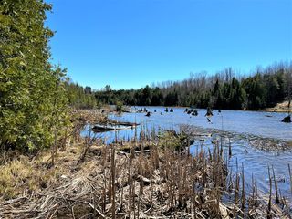 Off River Edge Dr, Cheboygan, MI 49721