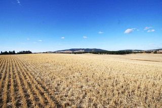 13801 E  Crisler Rd, Valleyford, WA 99036