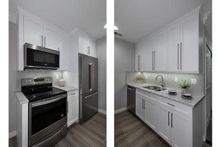 Apartments For Rent In East Meadow Ny 10 Rentals Trulia