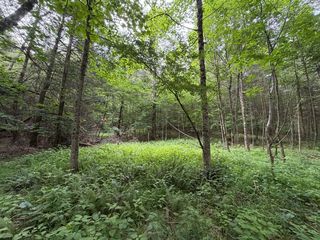 Lansing Edmond Rd, Edmond, WV 25837