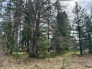 N  Old Stage Rd, Cave Junction, OR 97523