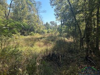 County Road 309, De Berry, TX 75639