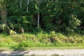 GOBBLER ROAD LOT 9, Astor, FL 32102