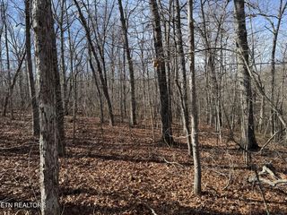 38 Crystal Point #38, Monterey, TN 38574