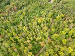 3 Grundy Rd, Tomahawk, WI 54487