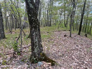 Tbd Cold Spring Road, Clinton Corners, NY 12514