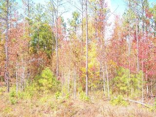 US Hwy, Roberta, GA 31078