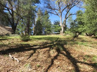 16670 Delores Ct, Pioneer, CA 95666