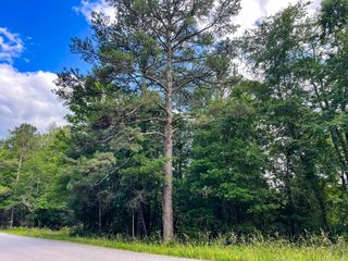 Old Tuscaloosa Rd, Parrish, AL 35580