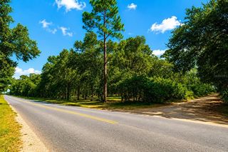 Rolling Ares Rd W, Lady Lake, FL 32159