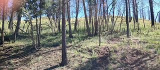 129 Sequoia Dr, Ruidoso, NM 88345