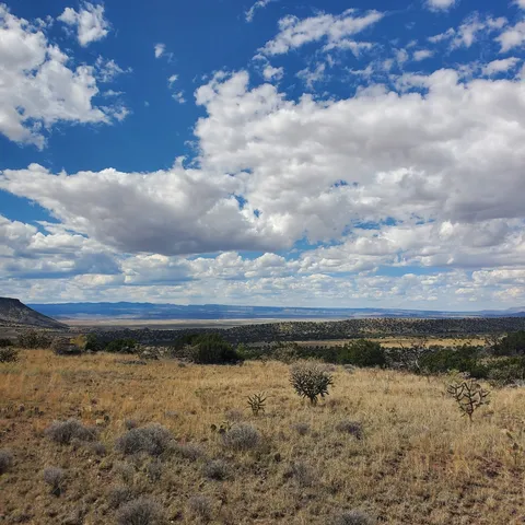Cantina Rd, Grants, NM 87020