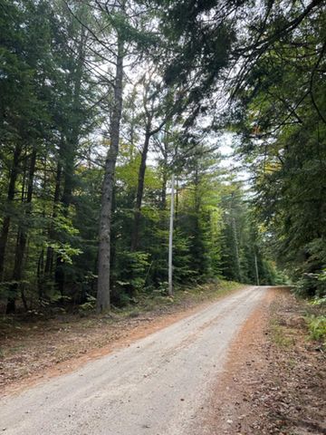 Lot 96 Thurston Road, Brownfield, ME 04010