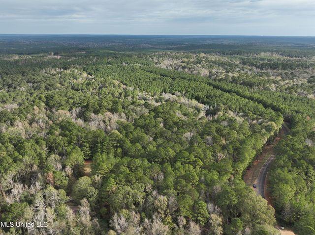 Coons Mill Rd, Centreville, MS 39631