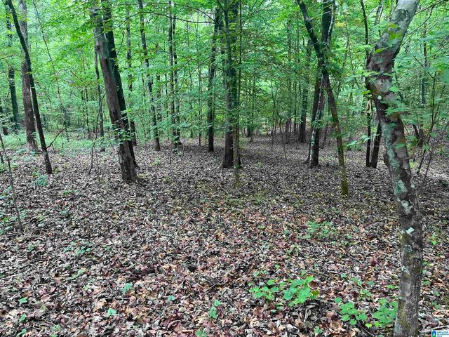 Gilmer Ave, Tallassee, AL 36078