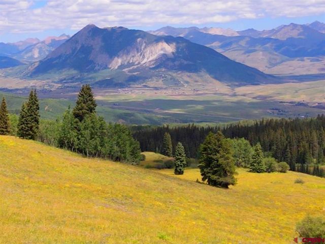 497 Coal Camp Rd, Crested Butte, CO 81224